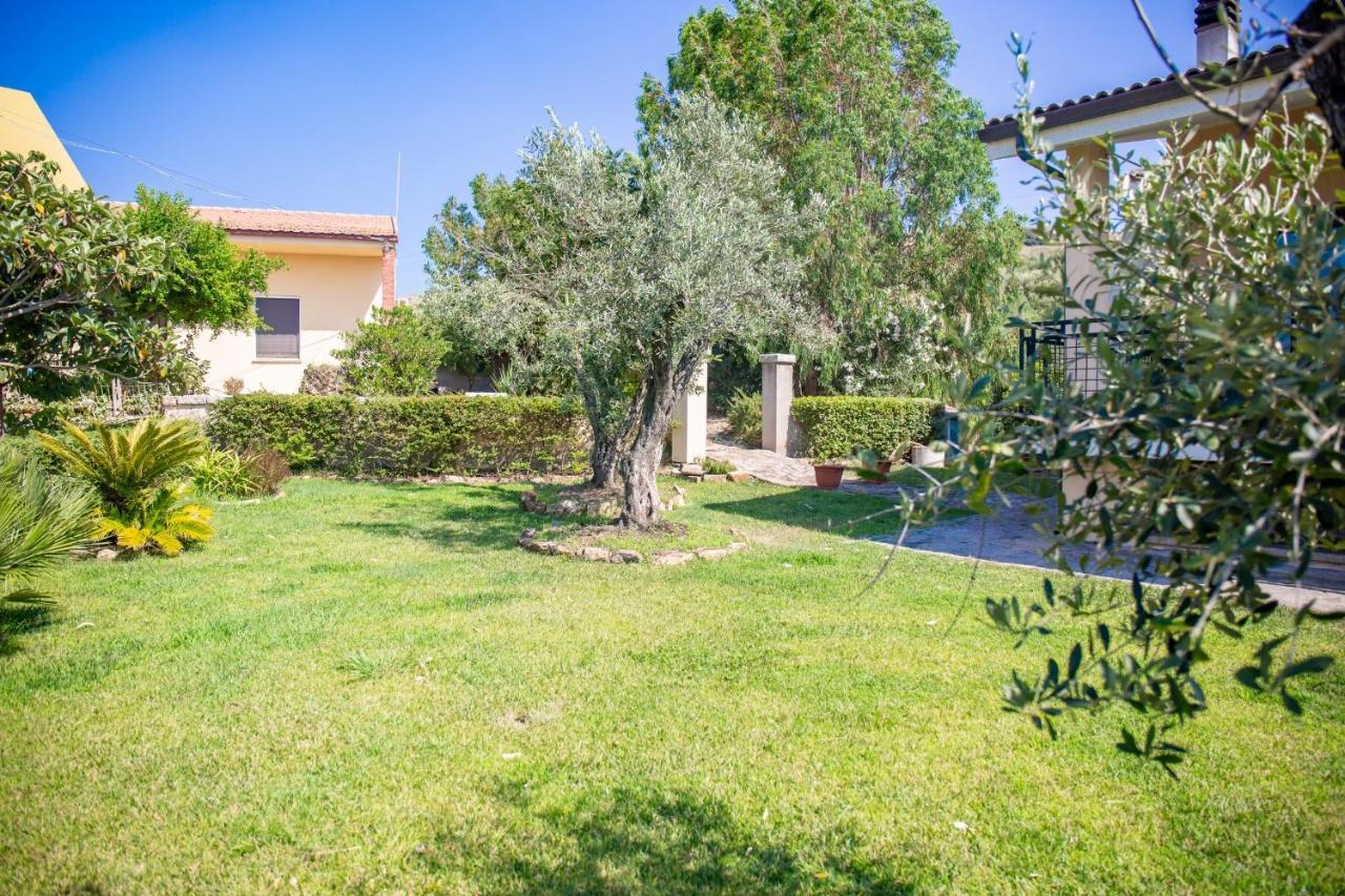 Bed and Breakfast Il Giardino Degli Ulivi Santa Maria Zewnętrze zdjęcie